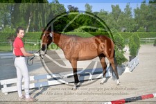 ref. photo 3666034