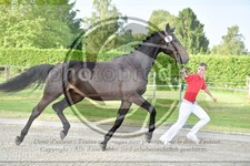 ref. photo 3666046