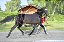 ref. photo 3666047