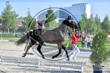 ref. photo 3666050