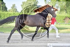ref. photo 3666051