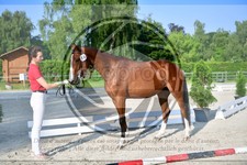 ref. photo 3666060