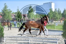 ref. photo 3666061