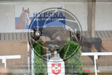 ref. photo 3666163