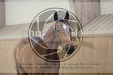 ref. photo 3666186