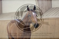 ref. photo 3666187