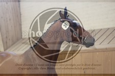 ref. photo 3666190