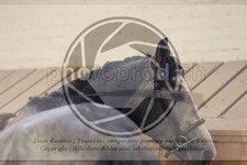 ref. photo 3666258