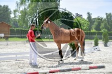 ref. photo 3666271