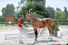 ref. photo 3666272