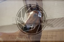 ref. photo 3666312