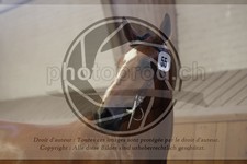 ref. photo 3666314