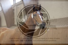 ref. photo 3666320
