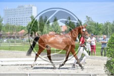 ref. photo 3666341
