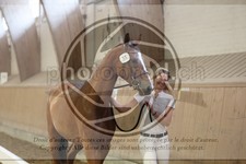 ref. photo 3666372