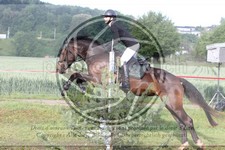 ref. photo 3619677