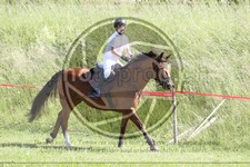 ref. photo 3619705