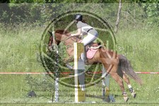 ref. photo 3619720