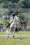 ref. photo 3619872