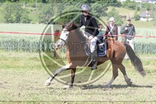 ref. photo 3619916