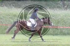 ref. photo 3619942