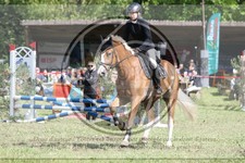 ref. photo 3620003
