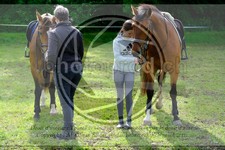 ref. photo 3620019