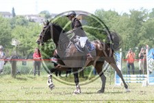 ref. photo 3620069