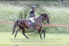 ref. photo 3620115