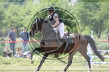 ref. photo 3620172