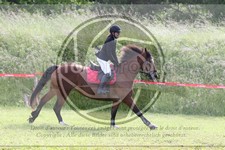 ref. photo 3620204