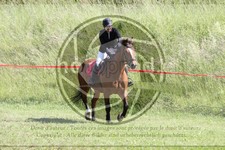 ref. photo 3620213