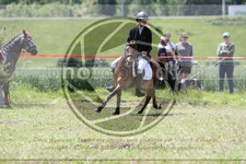 ref. photo 3620218