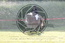 ref. photo 3620234