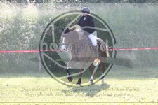 ref. photo 3620235