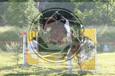 ref. photo 3620236