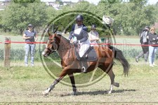 ref. photo 3620258