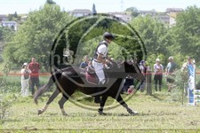 ref. photo 3620269