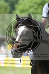 ref. photo 3620273