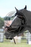 ref. photo 3620274