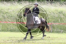 ref. photo 3620283