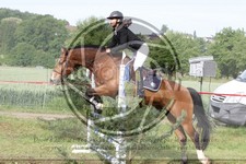 ref. photo 3620299