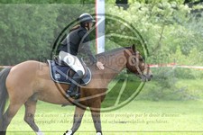 ref. photo 3620304