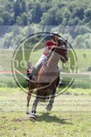 ref. photo 3620314