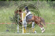 ref. photo 3620344