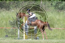 ref. photo 3620353