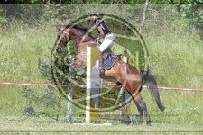 ref. photo 3620362