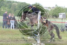 ref. photo 3620371