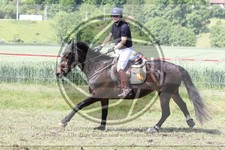 ref. photo 3620377