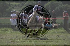 ref. photo 3620384
